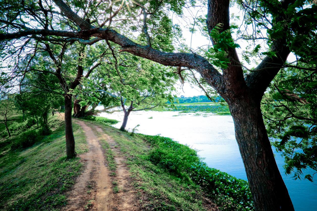 Bestlife Eco Resort Mattala Hambantota Exteriér fotografie