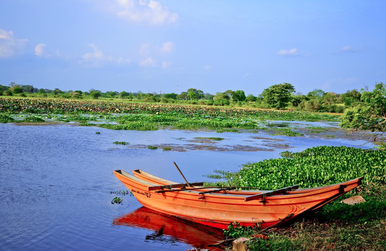 Bestlife Eco Resort Mattala Hambantota Exteriér fotografie